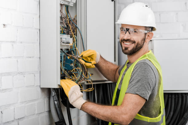 Best Electric Panel Repair  in Fox Lake, WI