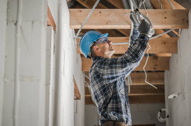 Best Electrical System Inspection  in Fox Lake, WI